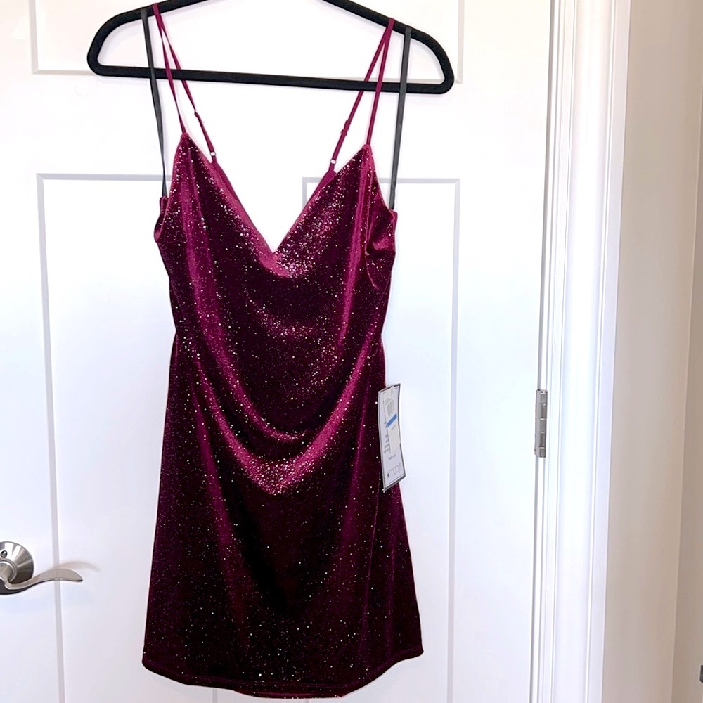 NWT Glitter Velvet Bow Dress - Garnet
